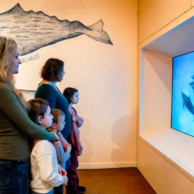 Ausstellung im Meeresmuseum