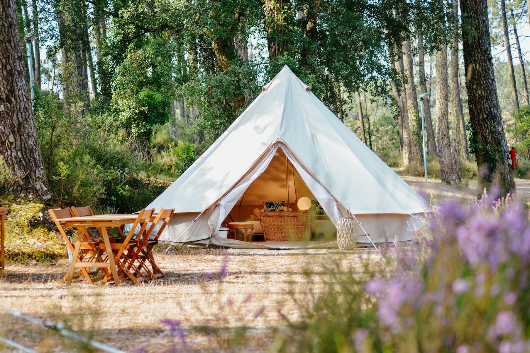 Best Campsites in and around Seignosse - Seignosse Tourisme