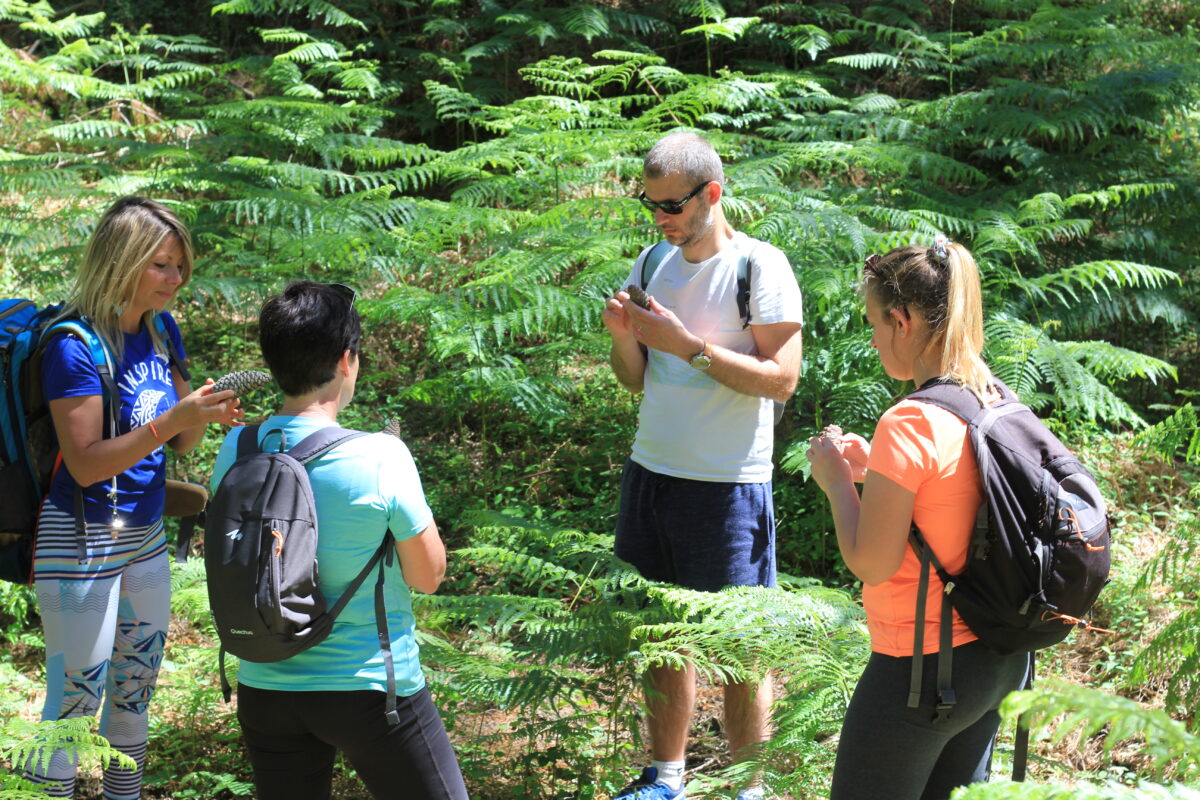 bain de forêt à Seignosse
